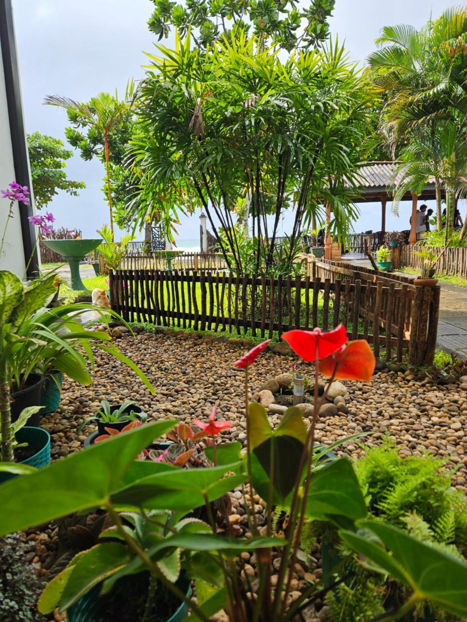 Balance Beach Resort 迪克韦勒 外观 照片