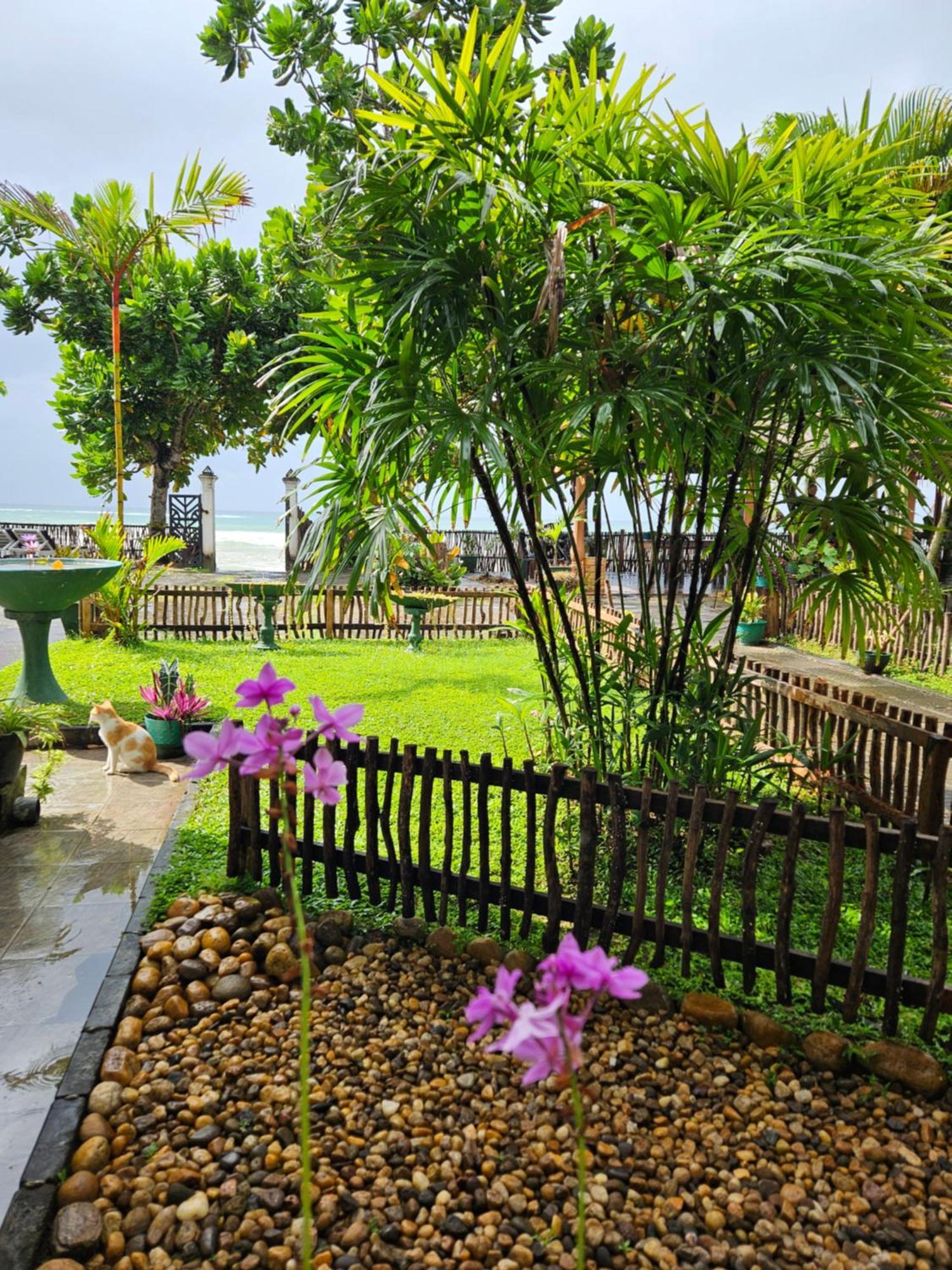 Balance Beach Resort 迪克韦勒 外观 照片