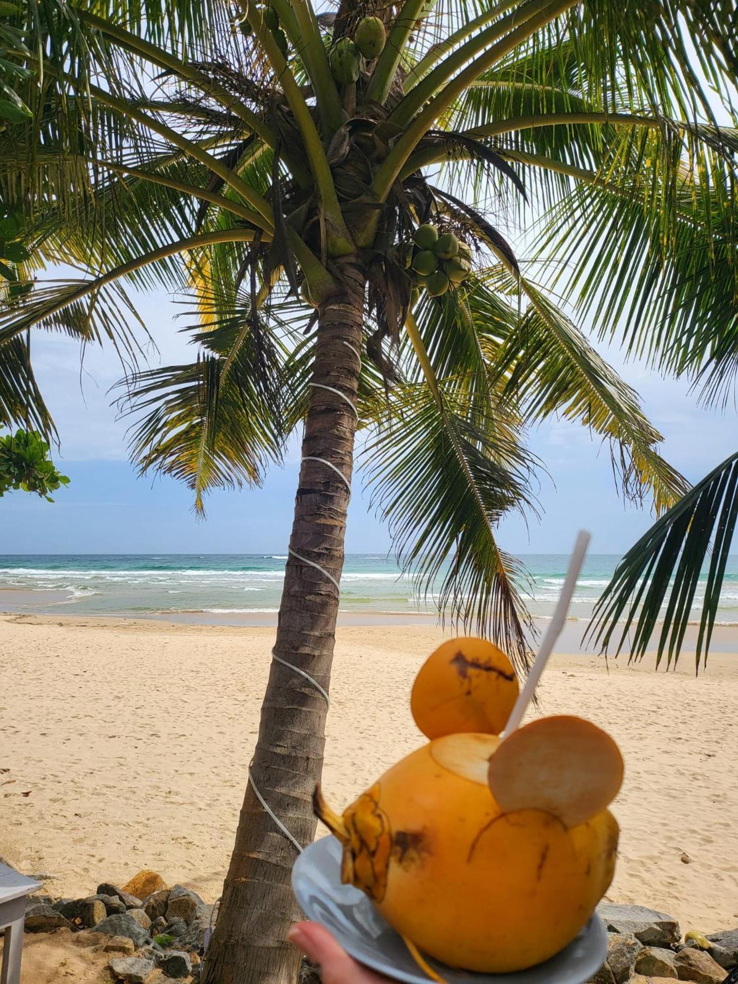 Balance Beach Resort 迪克韦勒 外观 照片