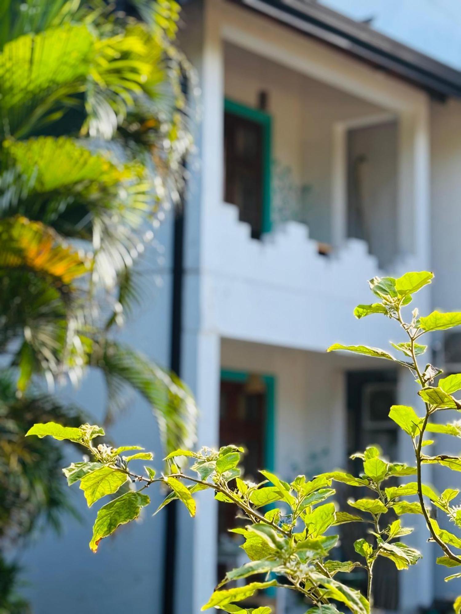 Balance Beach Resort 迪克韦勒 外观 照片