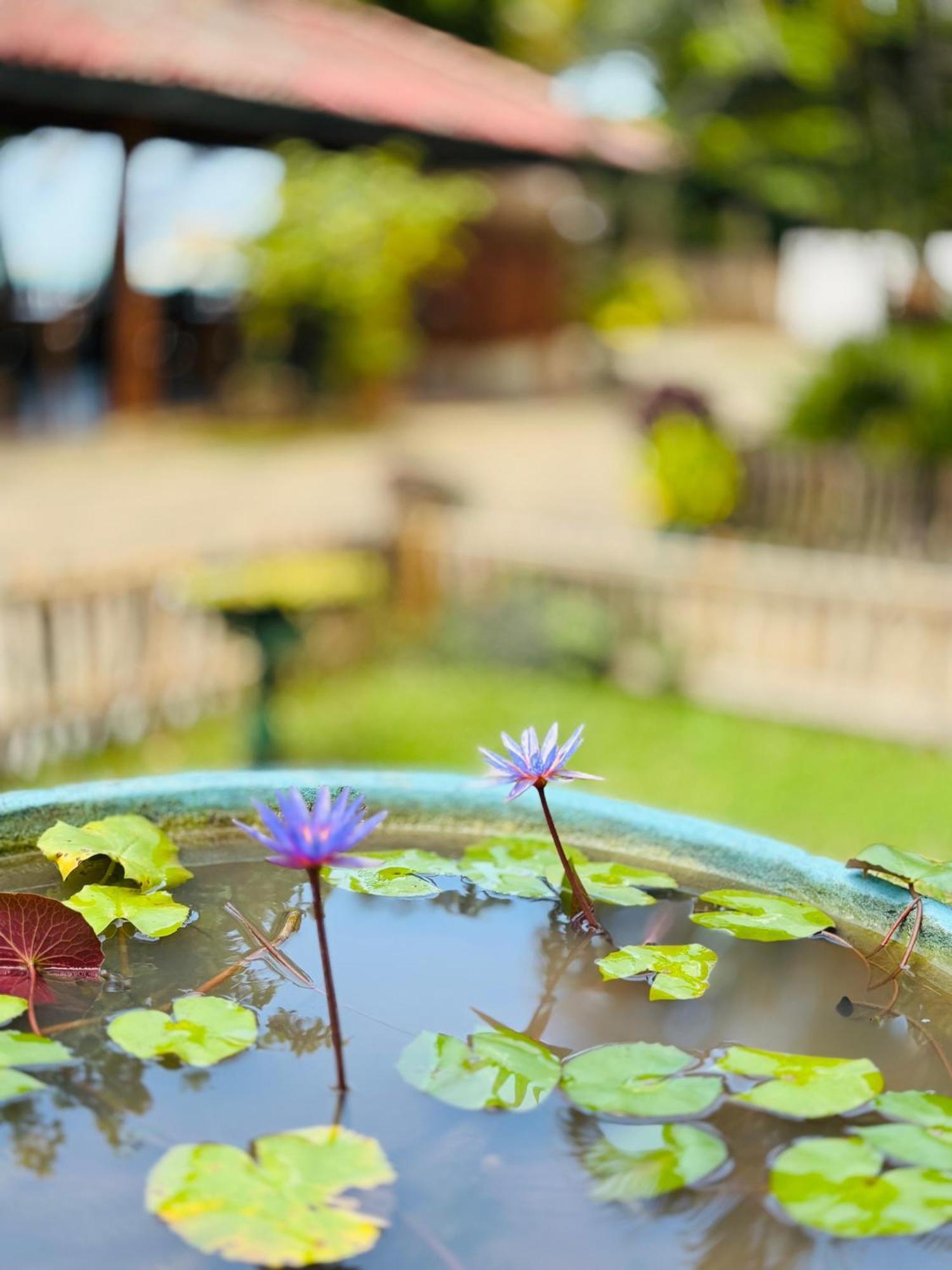 Balance Beach Resort 迪克韦勒 外观 照片