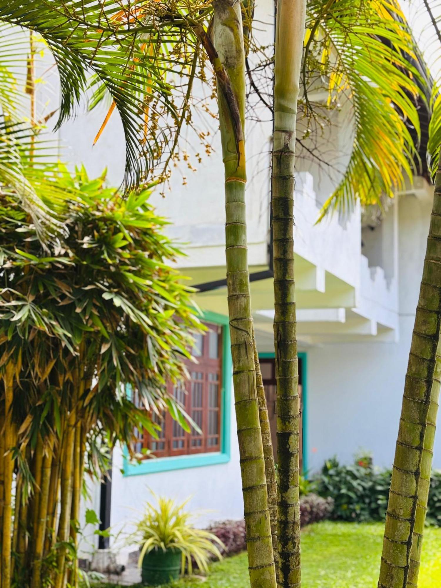 Balance Beach Resort 迪克韦勒 外观 照片