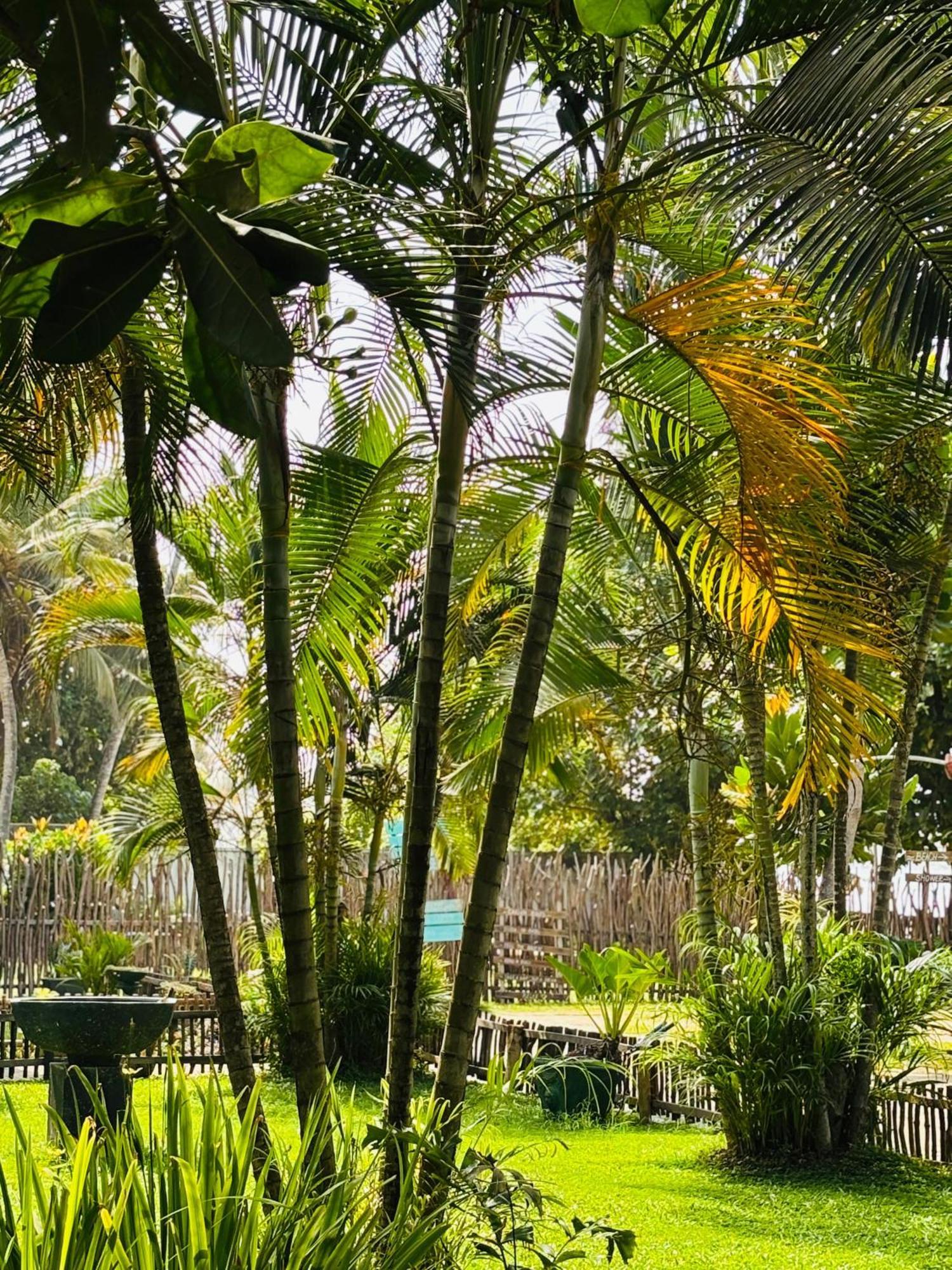 Balance Beach Resort 迪克韦勒 外观 照片